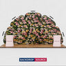 10x20 Petal Wall Booth Kit with 2 Oval Counters