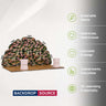 10x20 Petal Wall Booth Kit with 2 Oval Counters