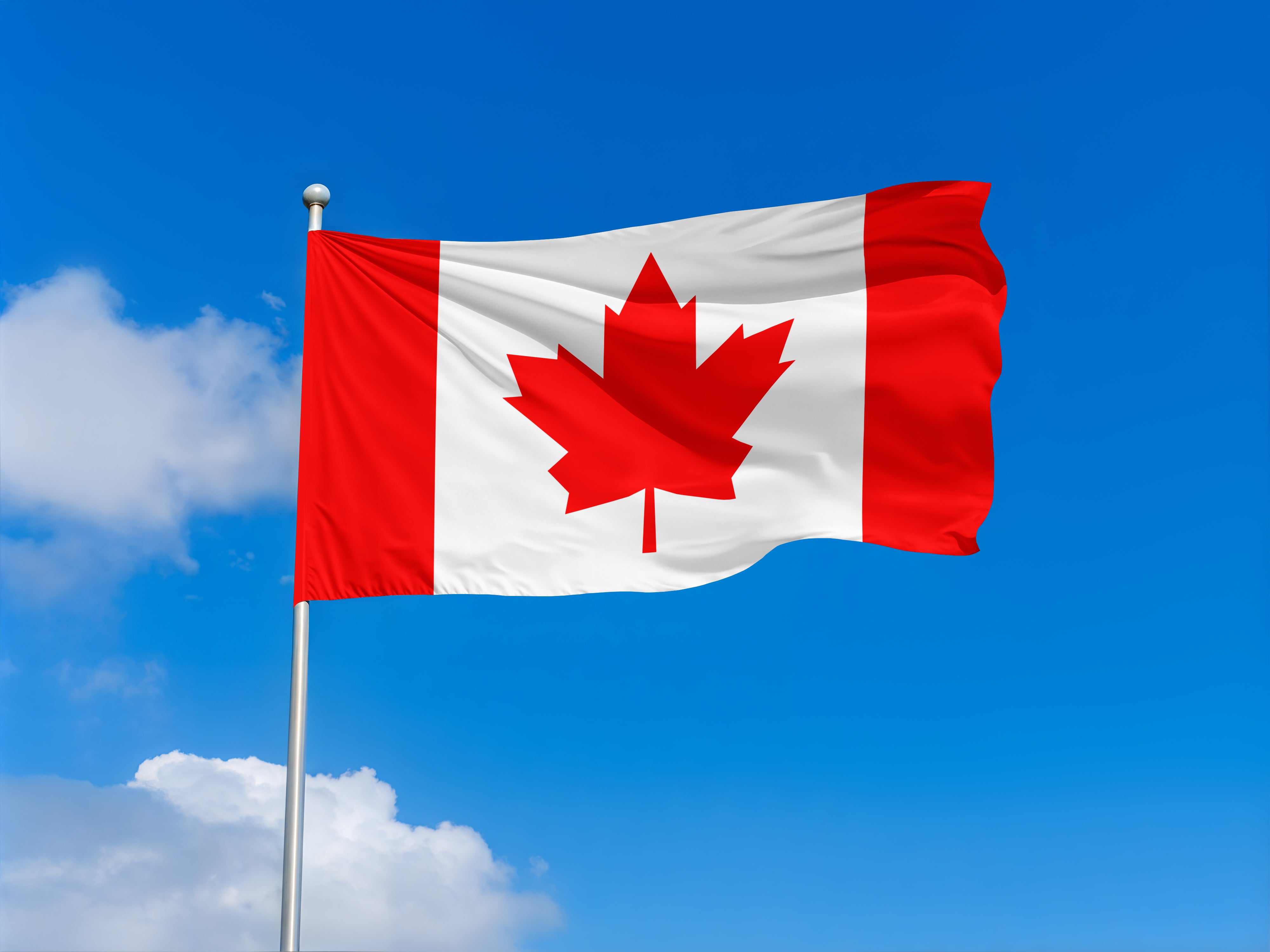 Custom Printed Flags