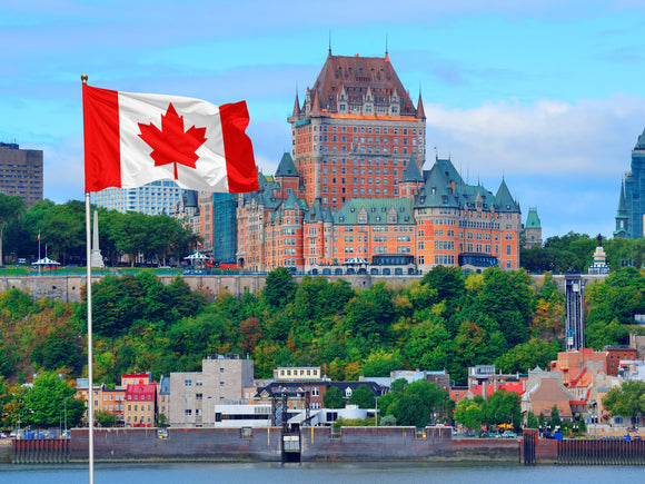 Custom Printed Flags