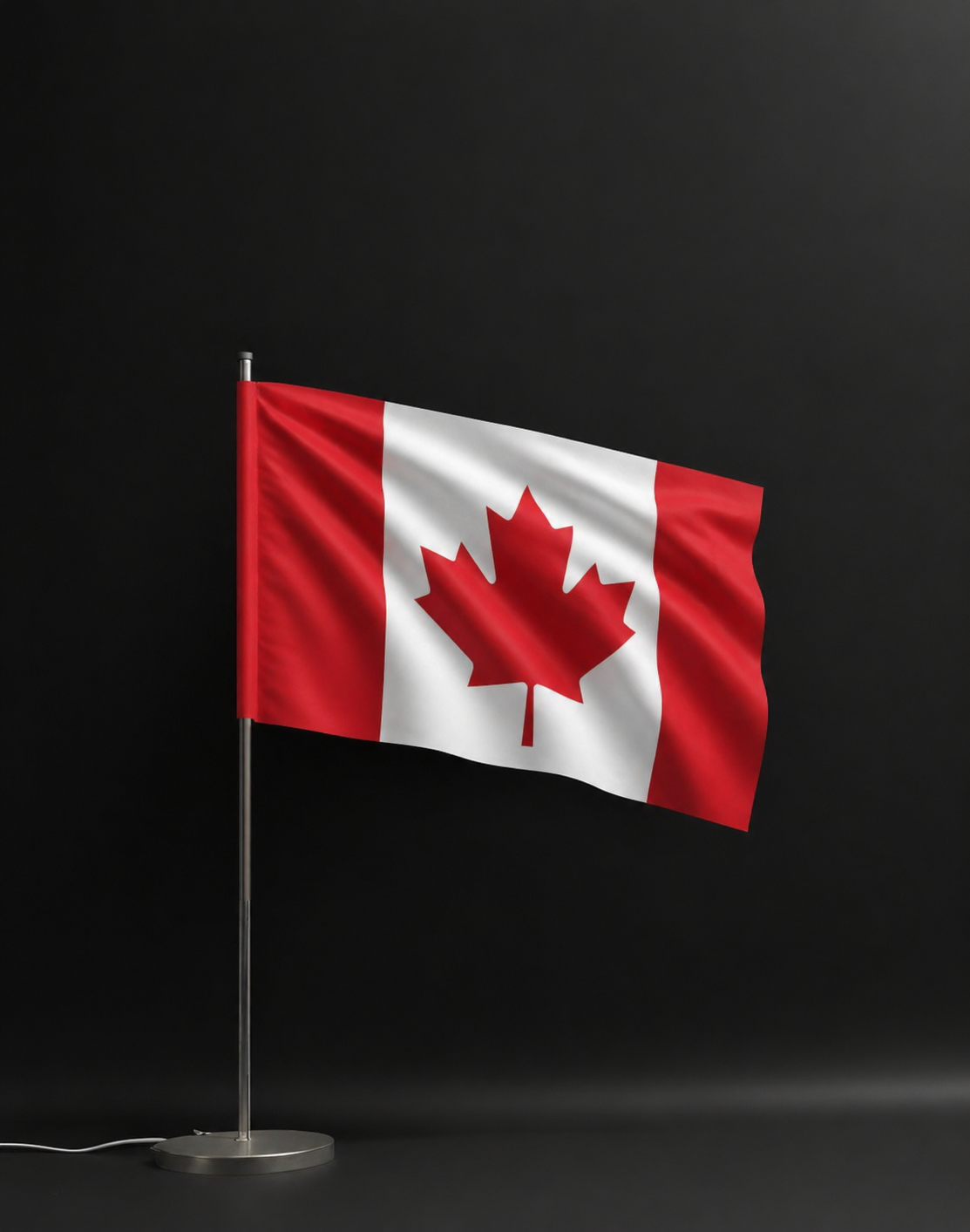 Custom Printed Country Flags