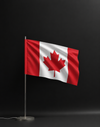 Custom Printed Country Flags