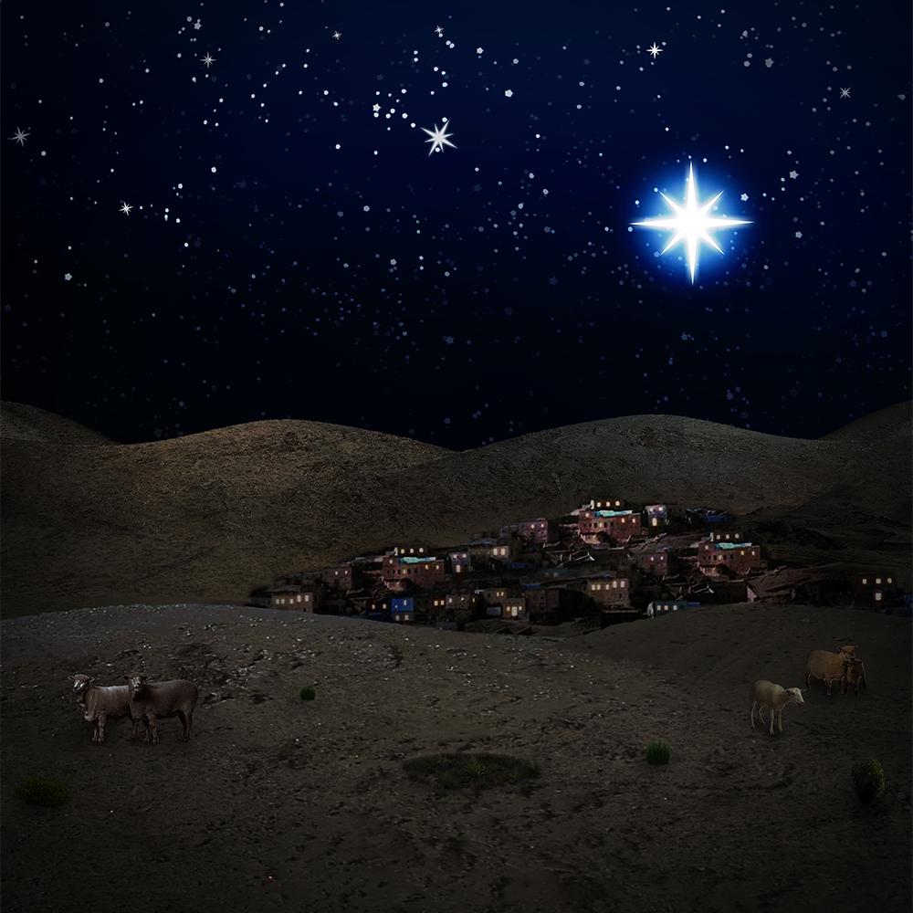 Christmas Bethlehem Night Scene  Backdrop