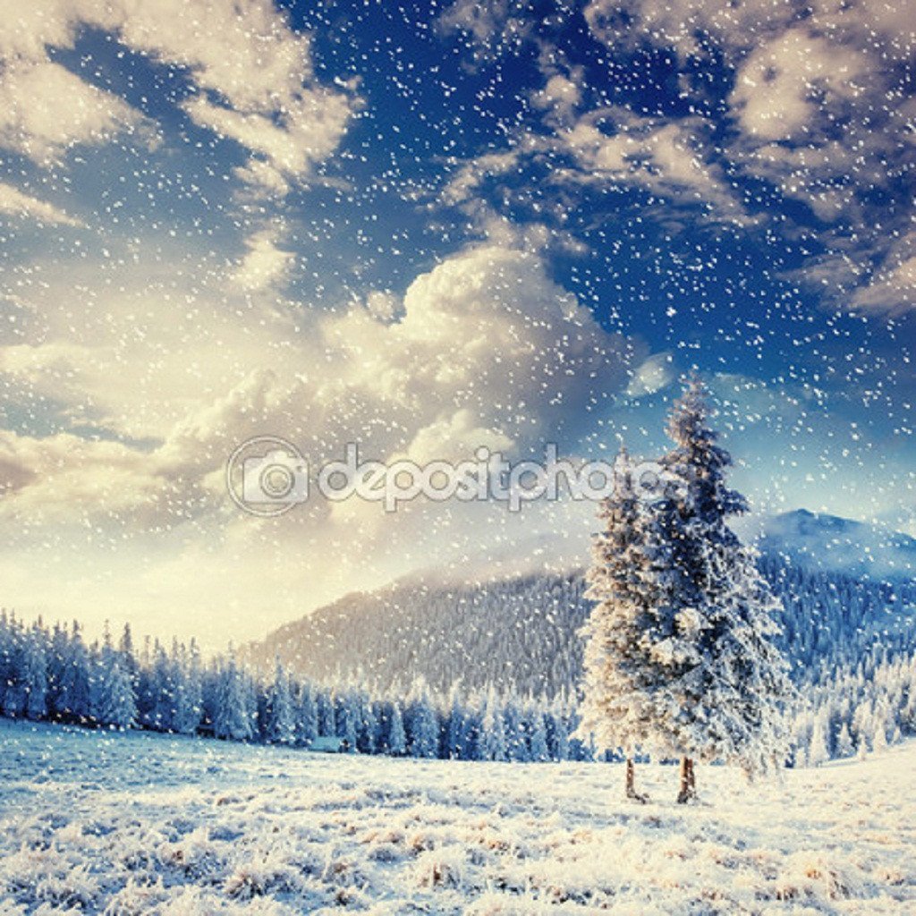 Landscape Winter Snow Trees  Backdrop