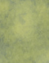 Pale Green Texture Fashion Wrinkle Resistant Backdrop