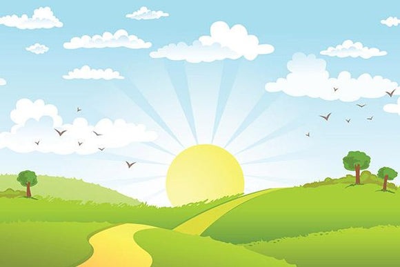 The Road in Green Field Backdrop Printing