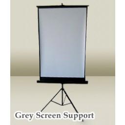 Photography Passport Gray Backdrop With Stand