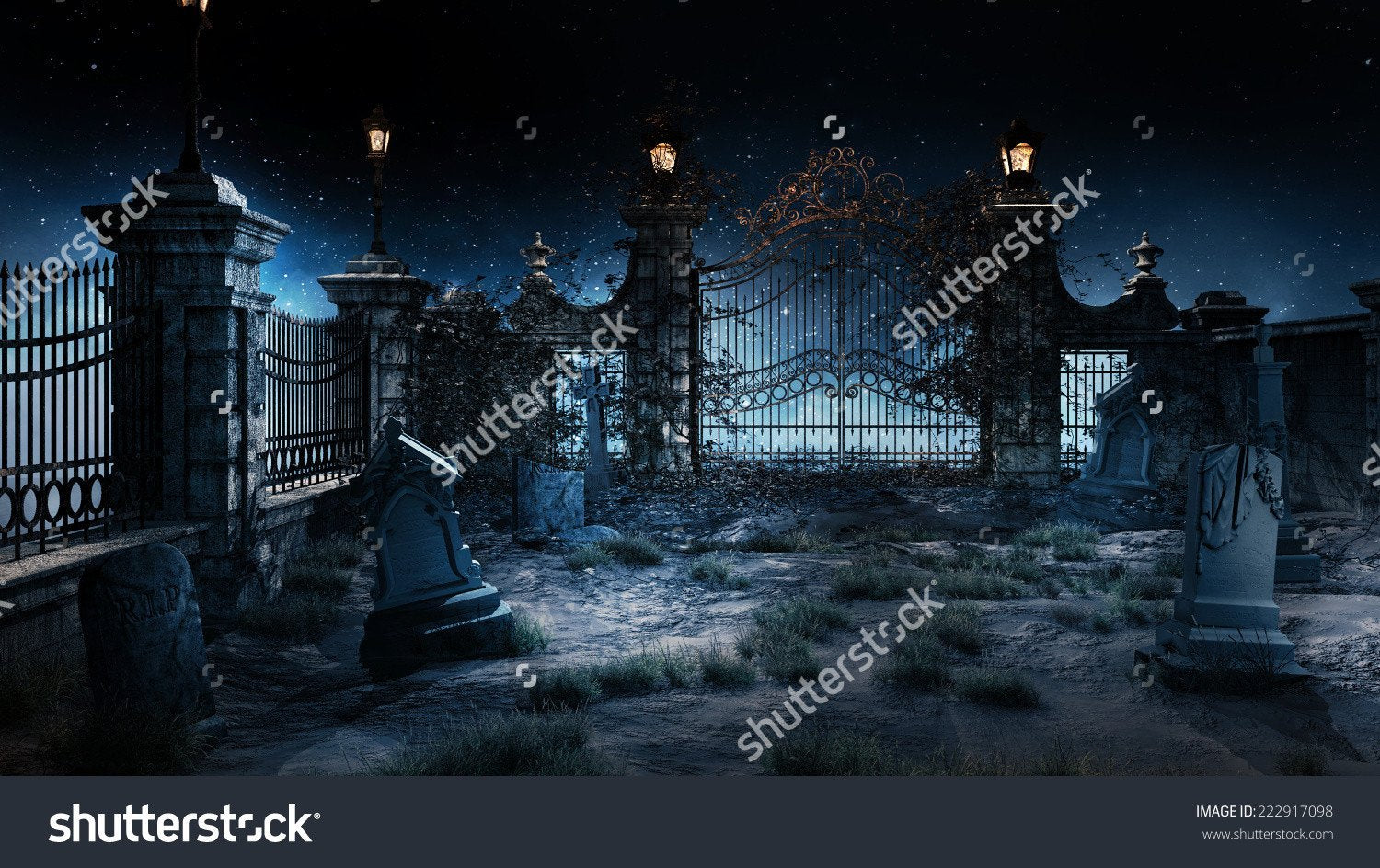 Old Cemetery with Iron Gate Print Photography Backdrop